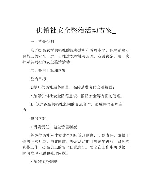 供销社安全整治活动方案_