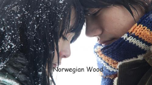 挪威的森林  norwegian wood