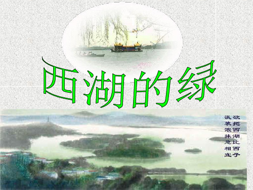 西湖的绿PPT课件