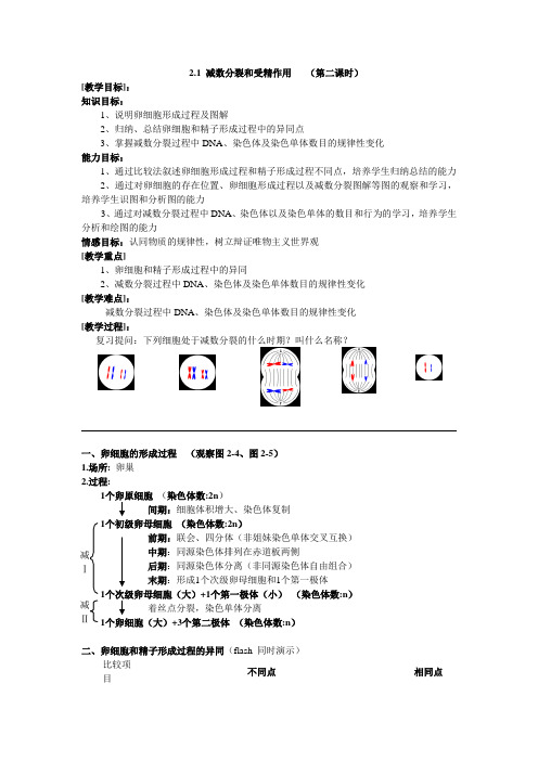 四川省塔山中学新人教高中生物必修二《2.1 减数分裂和受精作用(第二课时)》学案