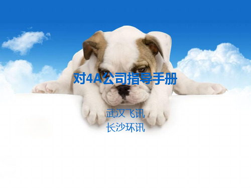 对4A公司指导手册