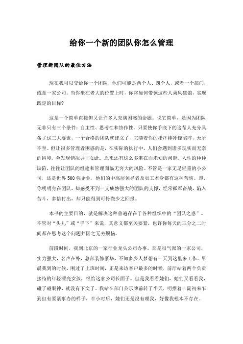 给你一个新的团队你怎么管理