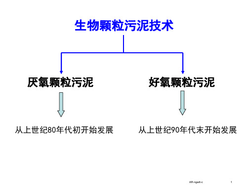 好氧颗粒污泥培养