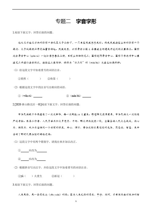 河北省中考语文专题突破训练： 字音字形