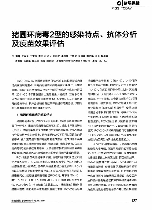 猪圆环病毒2型的感染特点、抗体分析及疫苗效果评估