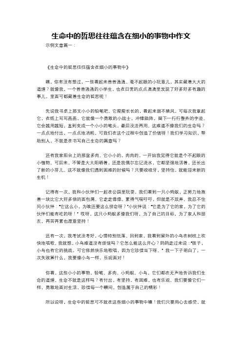 生命中的哲思往往蕴含在细小的事物中作文