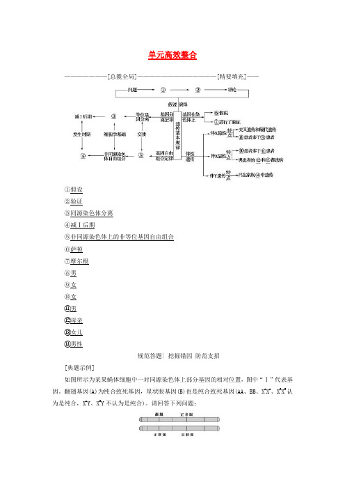 2018版高三生物一轮复习 第5单元 单元高效整合讲义 新人教版必修2