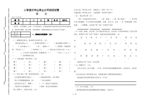 六年级下册语文试题毕业检测卷 人教新课标 含答案