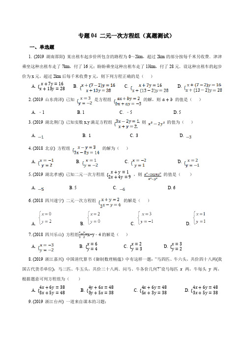 专题04 二元一次方程组(真题测试)(原卷版)