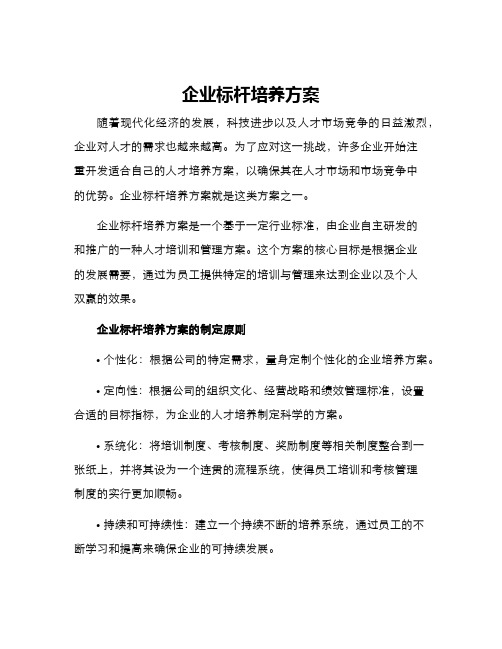 企业标杆培养方案