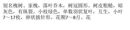 国槐的生长习性及用途是什么？