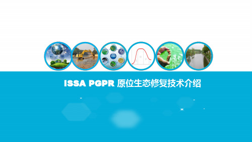 硕亚环保ISSA PGPR原位生态修复技术介绍