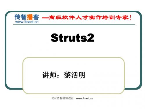 struts2