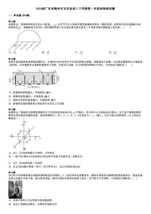 2024届广东省梅州市五华县高三下学期第一次质检物理试题