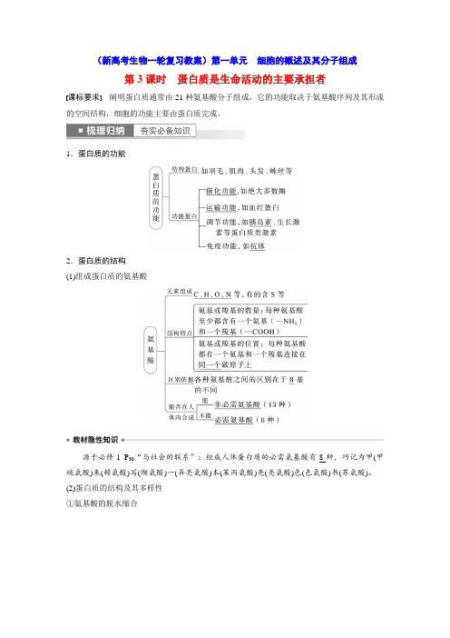 蛋白质是生命活动的主要承担者(新高考生物一轮复习教案)