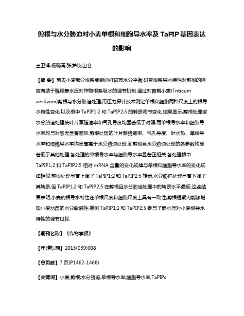 剪根与水分胁迫对小麦单根和细胞导水率及TaPIP基因表达的影响