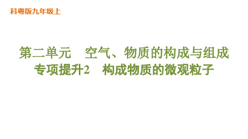 第二单元空气、物质的构成与组成专项提升2 构成物质的微观粒子2024-2025学年化学科粤版上册