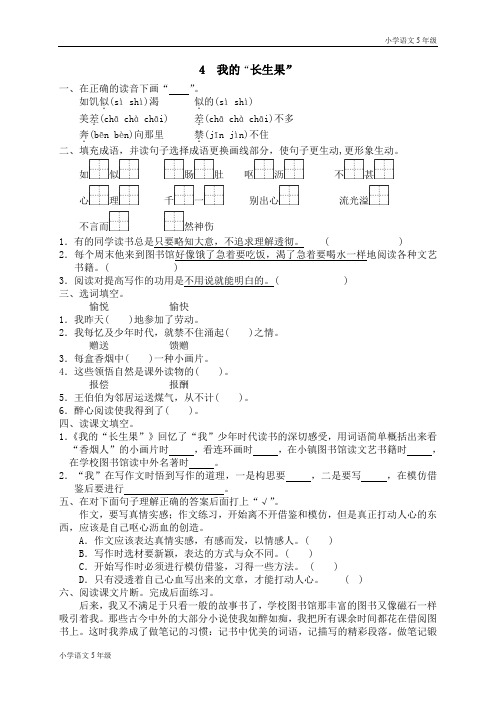 同步练习-人教版小学5年级上册试题-4 我的“长生果”