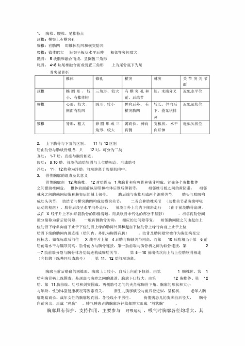 解剖学作业学习课件.doc