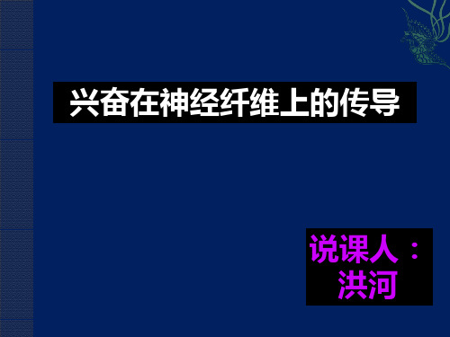 兴奋在神经纤维上的传导说课