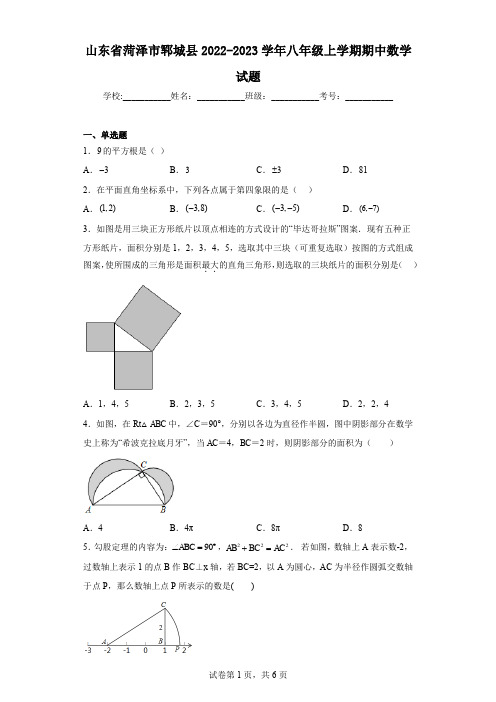 山东省菏泽市郓城县2022-2023学年八年级上学期期中数学试题