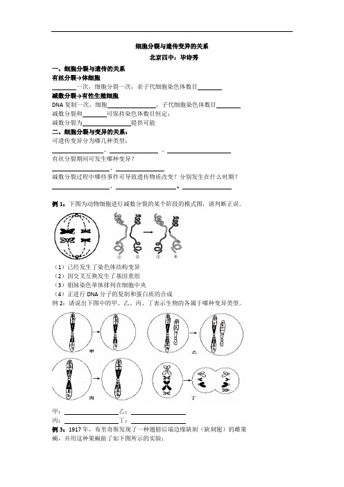 细胞分裂与遗传变异的关系