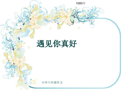 小学六年级作文《遇见你真好》1000字(共13页PPT)