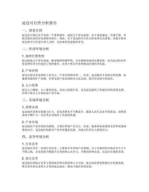 延边可行性分析报告