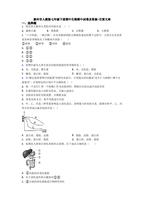 泰州市人教版七年级下册期中生物期中试卷及答案-百度文库