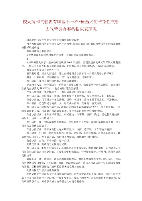 校犬病和气管炎有哪些不一样-柯基犬的传染性气管支气管炎有哪些临床表现呢