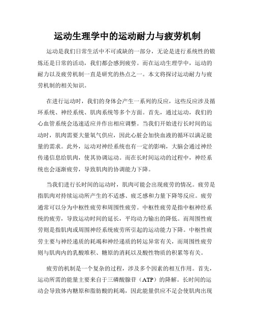 运动生理学中的运动耐力与疲劳机制