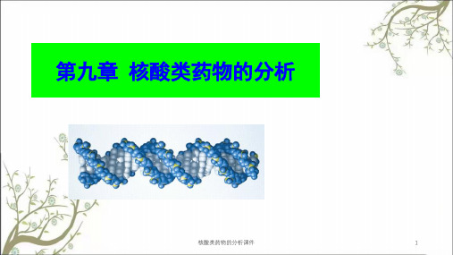 核酸类药物的分析课件