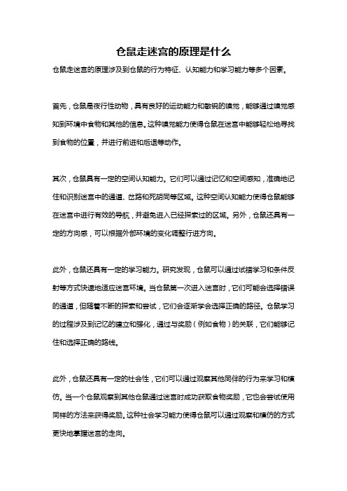 仓鼠走迷宫的原理是什么