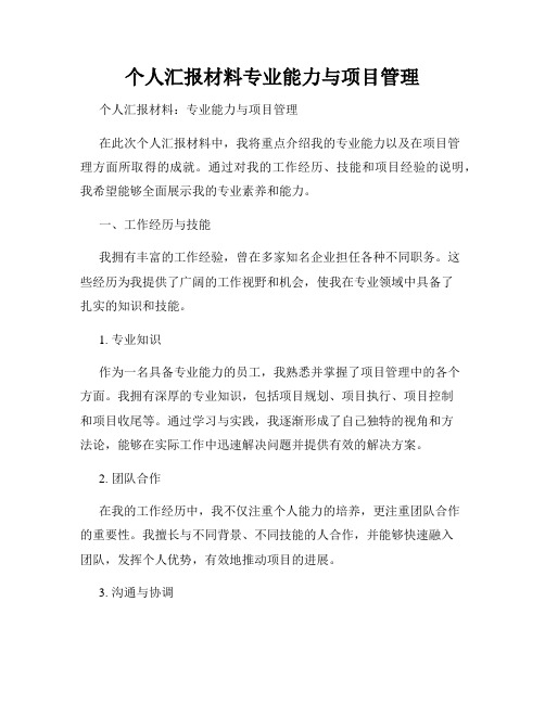 个人汇报材料专业能力与项目管理