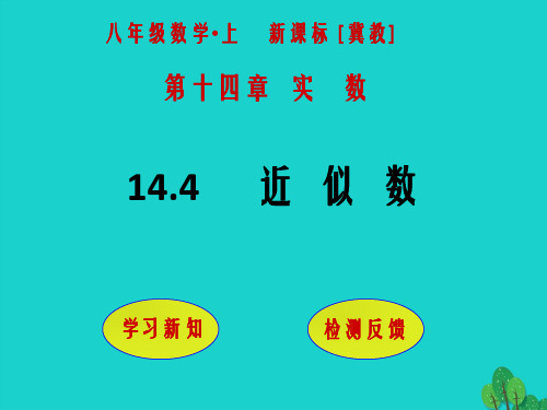 八年级数学上册 14.4 近似数课件 (新版)冀教版