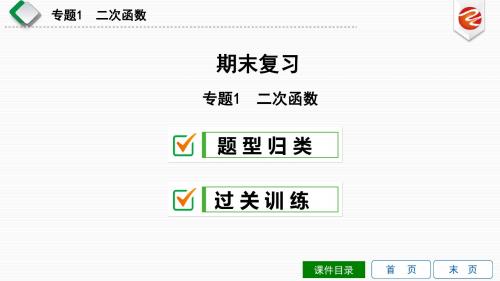 新沪科版九上数学导学课件专题1 二次函数