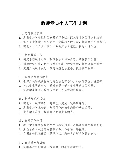 教师党员个人工作计划