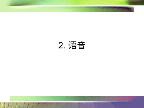 语言学概论——2语音