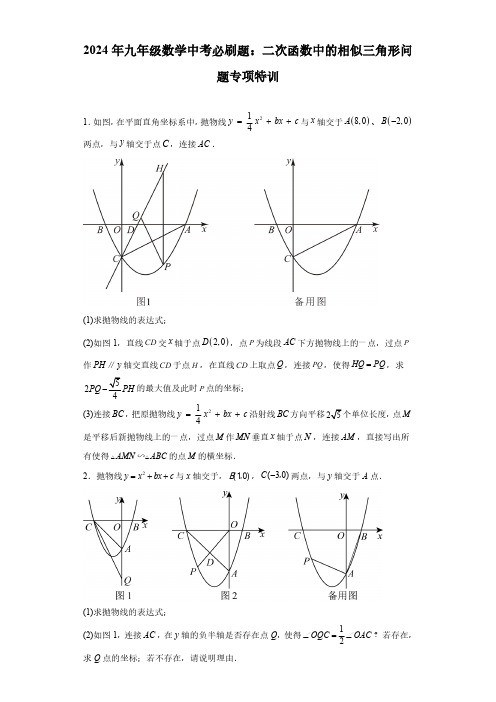 2024年九年级数学中考必刷题：二次函数中的相似三角形问题专项特训(含答案)