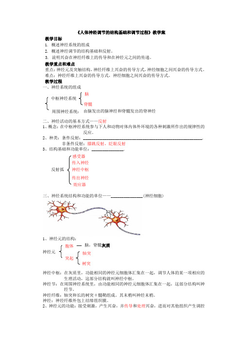 济南版七年级下册生物神经调节的结构基础和调节过程教案