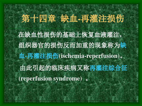 第14章 缺血-再灌注 PPT课件