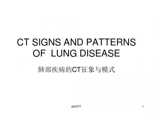 肺部疾病的CT征象与模式  ppt课件