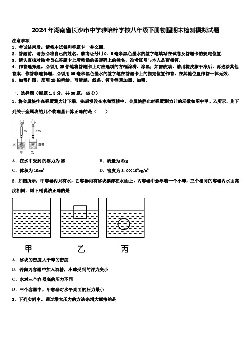 2024年湖南省长沙市中学雅培粹学校八年级下册物理期末检测模拟试题含解析