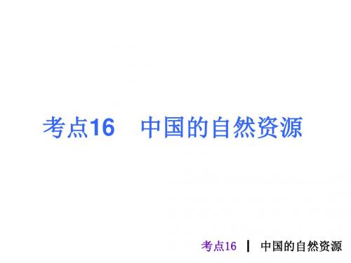 人教版中考地理总复习考点16《中国的自然资源》PPT课件(10张ppt)