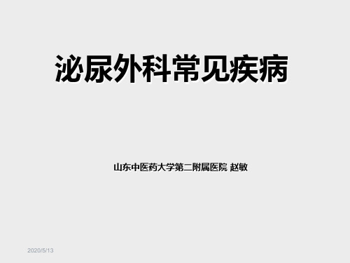 泌尿系统常见疾病PPT课件