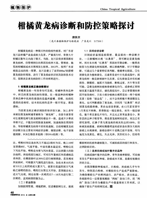 柑橘黄龙病诊断和防控策略探讨