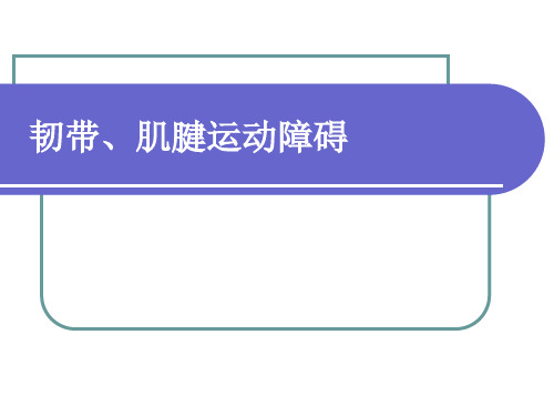 运动学课件:韧带肌腱运动障碍