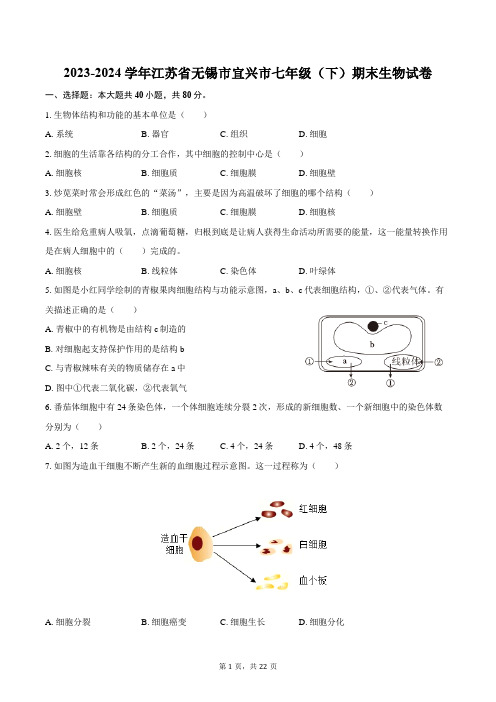 2023-2024学年江苏省无锡市宜兴市七年级(下)期末生物试卷(含解析)