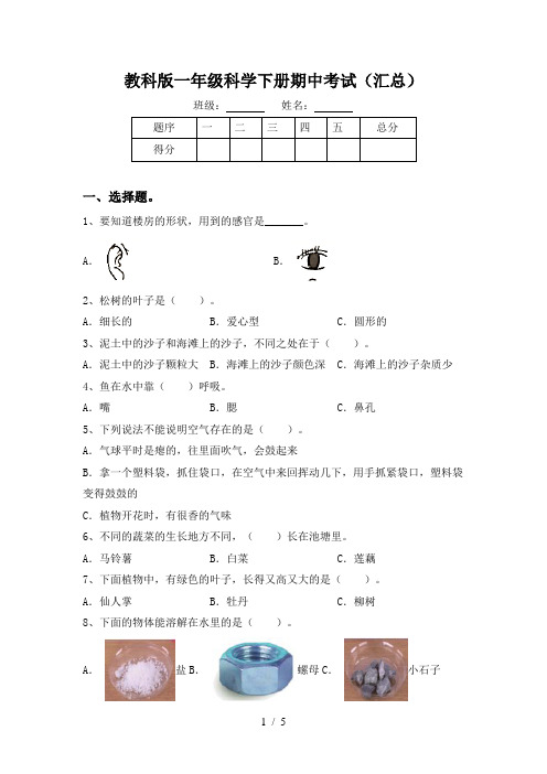 教科版一年级科学下册期中考试(汇总)