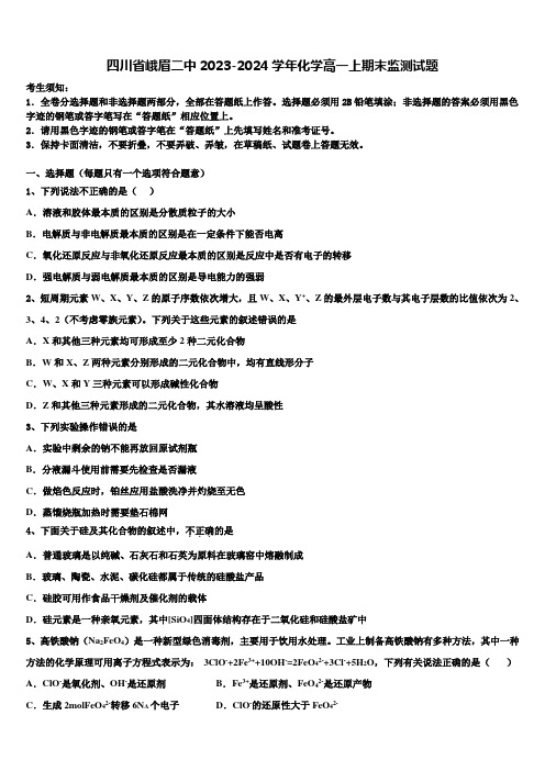 四川省峨眉二中2023-2024学年化学高一上期末监测试题含解析